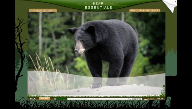 Online Safety Courses BC: Bear Awareness Online Training